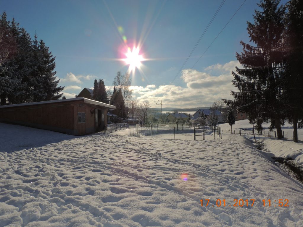 DSCN3386