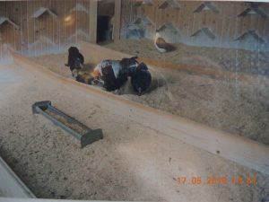 DSCN2467