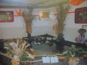 DSCN2641