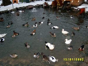 Januar3 056