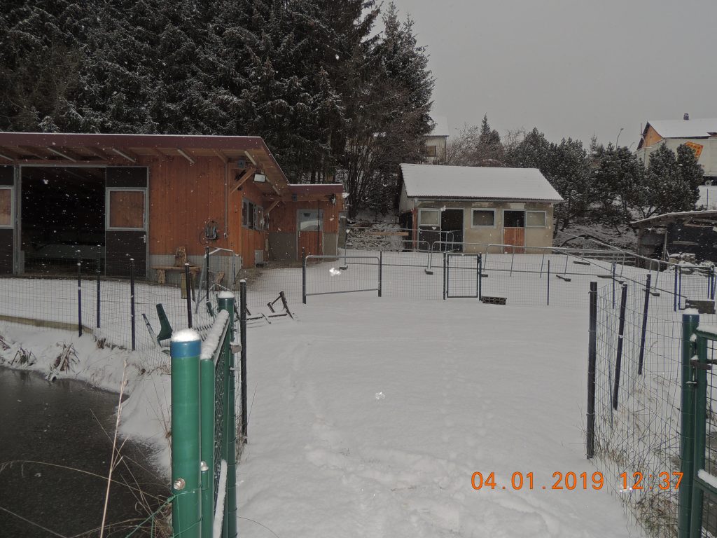 DSCN1202