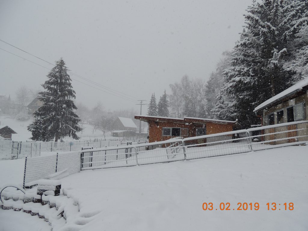 DSCN1405