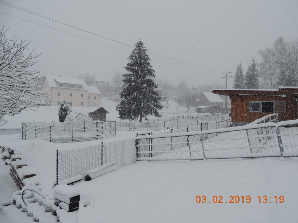 DSCN1406