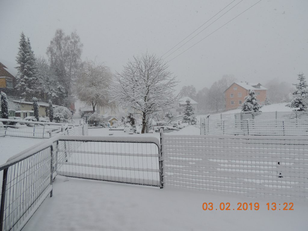 DSCN1412