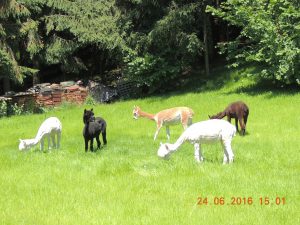 DSCN1693