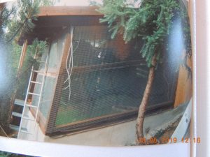 DSCN2627