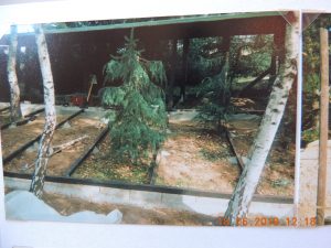DSCN2632