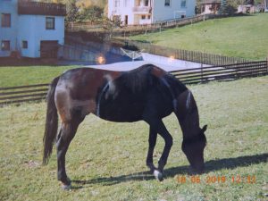 DSCN2648