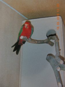 DSCN2654
