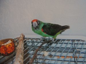 DSCN2655