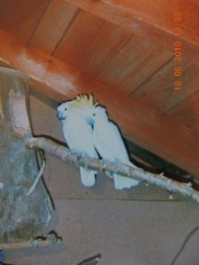 DSCN2659