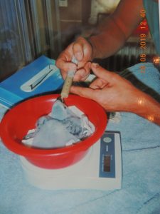 DSCN2662