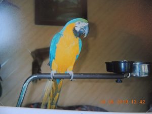 DSCN2666