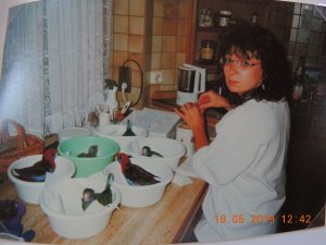 DSCN2667
