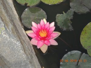 DSCN3361