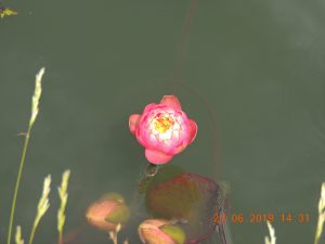 DSCN3362
