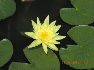 DSCN3365