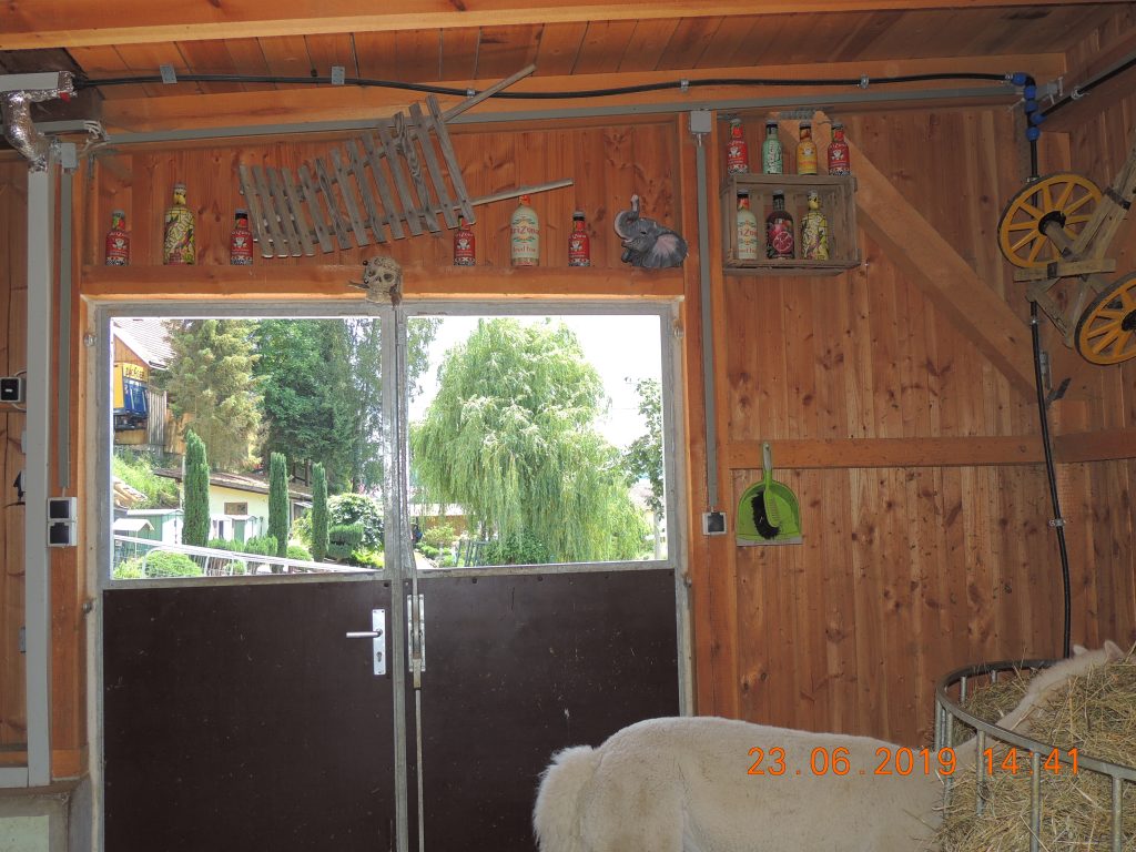 DSCN3401
