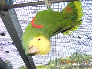 DSCN5178
