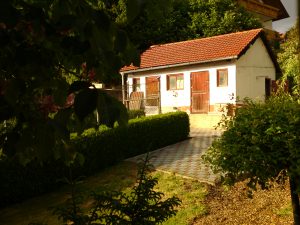 FRANZ HANDY juni 2012 113