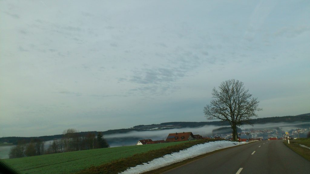 franz 24.12.12 515